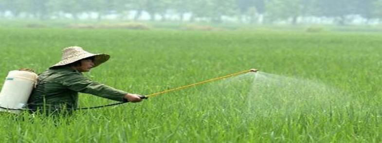 使用農(nóng)藥時泡沫太多是怎么回事，農(nóng)藥消泡劑能有用嗎？