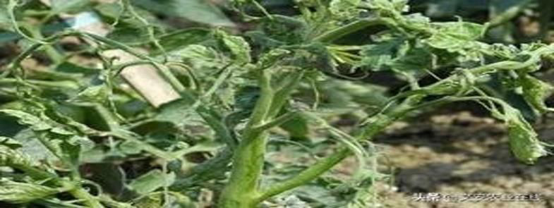 懸浮劑泡沫多，懸浮劑消泡劑能解決泡沫嗎？