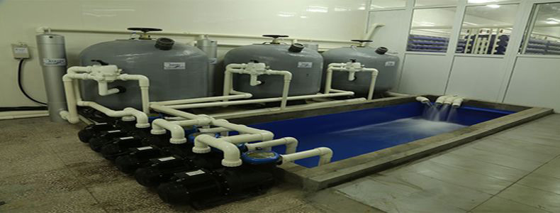 循環(huán)水泡沫怎么去除，循環(huán)水泡沫用什么消泡劑