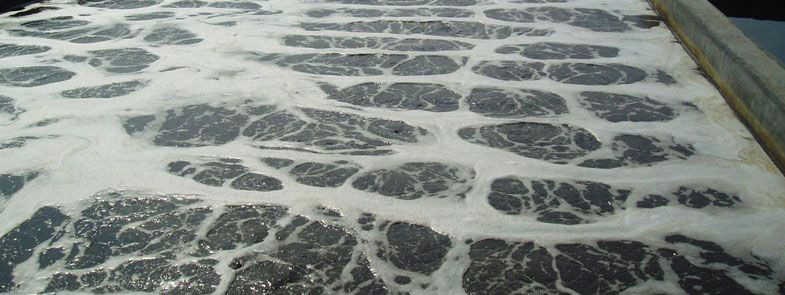 生化池泡沫多是什么原因，生化池泡沫怎么解決？