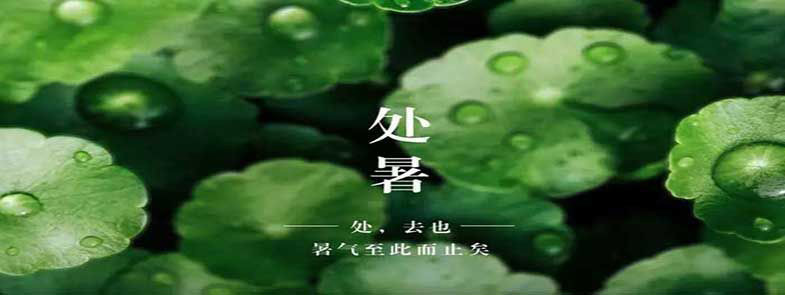 天上雙星合，人間處暑秋