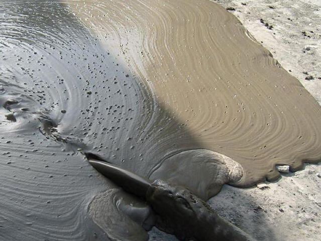 混凝土泡沫的危害，如何解決混凝土泡沫？