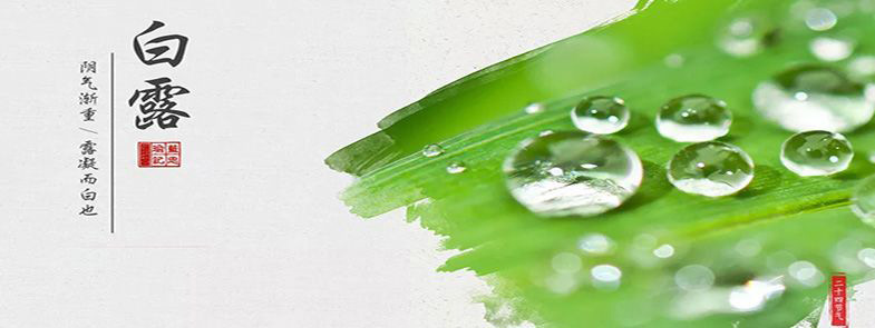 露從今夜白，夜自此日涼