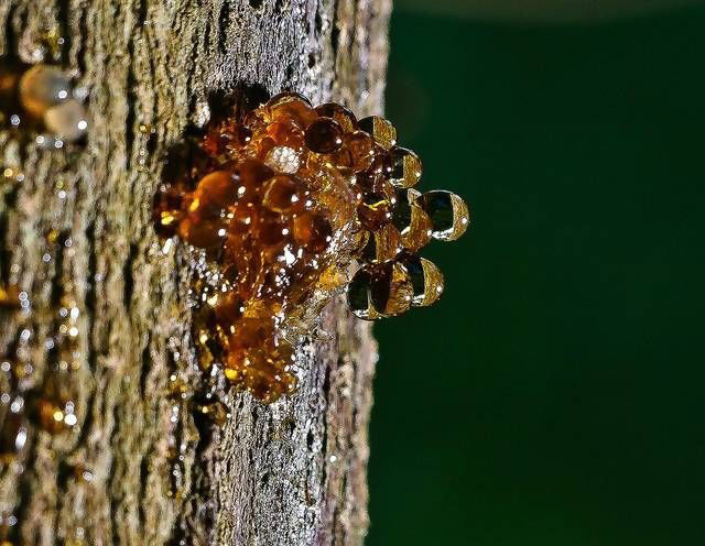 樹脂中有氣泡怎么處理，樹脂消泡劑可以用嗎？