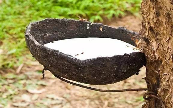 天然乳膠泡沫多是什么原因，有什么危害？