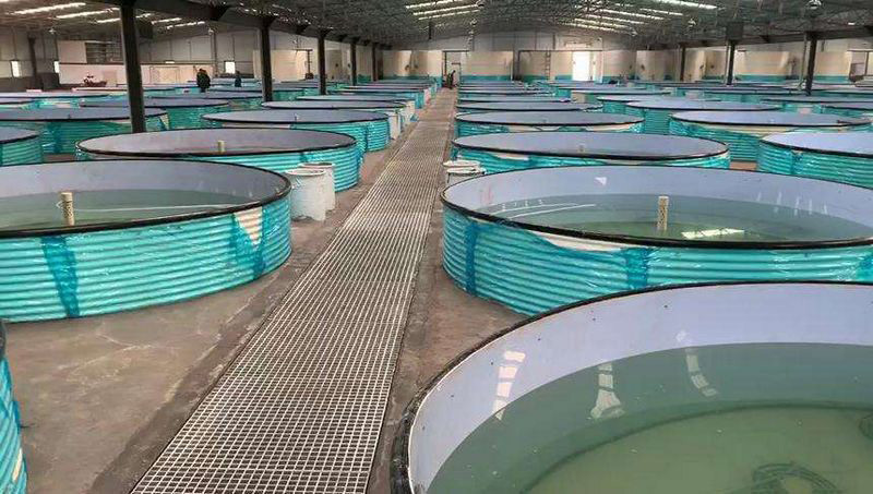 循環(huán)水起泡沫什么原因，用什么消泡劑效果好？