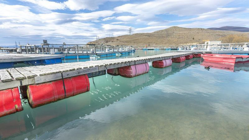 污水起泡沫，用什么方法去除泡沫？