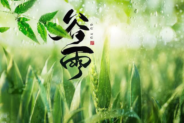 正當(dāng)谷雨弄晴時(shí)