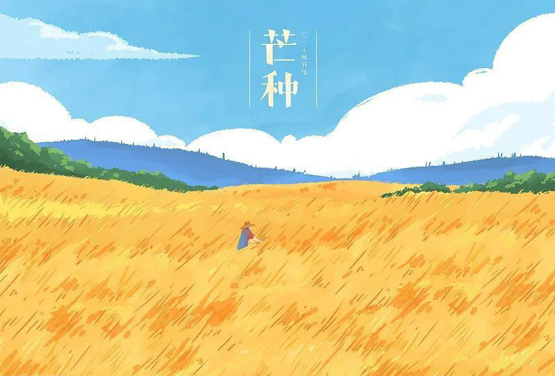 芒種看今日，蟬鳴夏始忙