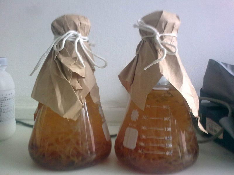 發(fā)酵液泡沫多有問(wèn)題，發(fā)酵液消泡劑可以解決泡沫？