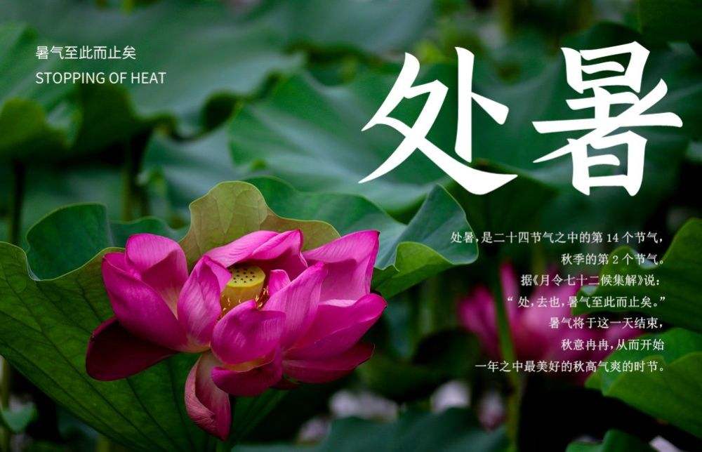 處暑至，新秋時(shí)