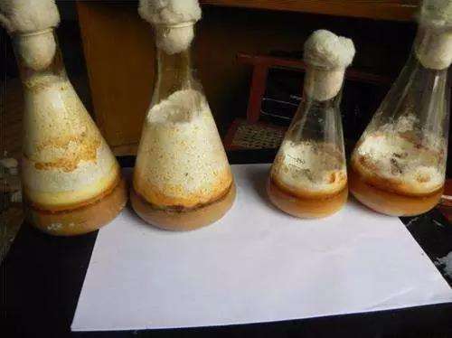 北京消泡劑-北京米小姐有機發(fā)酵廢液消泡劑使用和應(yīng)用案例