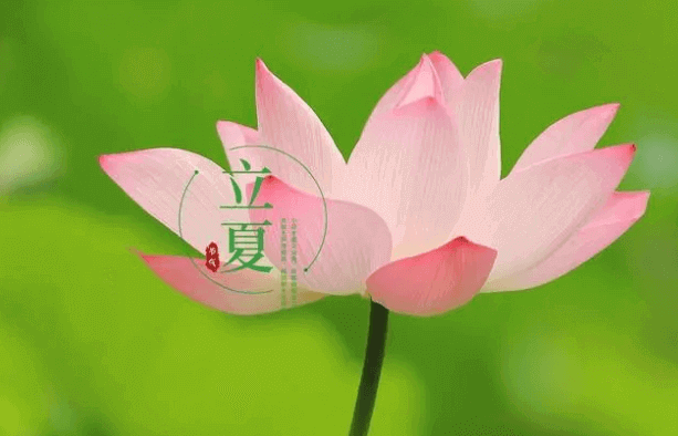 日斜湯沐罷，熟練試單衣